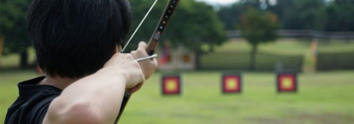 archery stance top image
