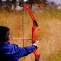 Single vs Dual Cam Compound Bows | Which Is Better?
