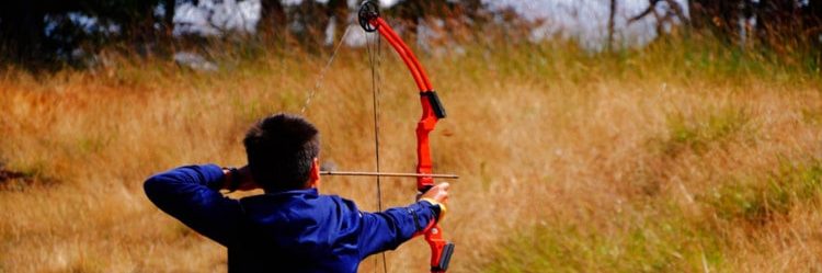 Single vs Dual Cam Compound Bows | Which Is Better?